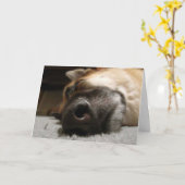 De Kaart van de Verjaardag van de Duitse herder (Gele Bloem)