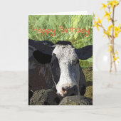 De kaart van de Verjaardag van de koe (Gele Bloem)