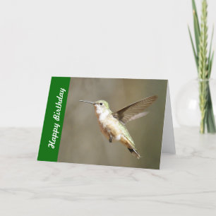 De Kaart van de Verjaardag van de kolibrie