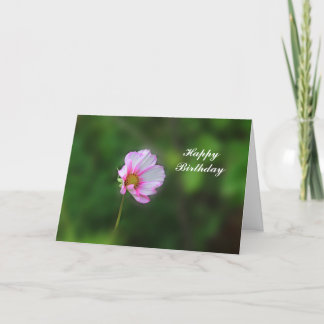 De Kaart van de Verjaardag van de kosmos