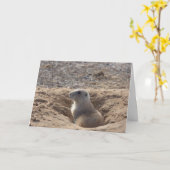 De Kaart van de Verjaardag van de prairiehond (Gele Bloem)