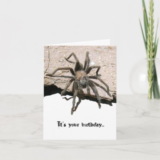 De Kaart van de Verjaardag van de tarantula (Voorkant)