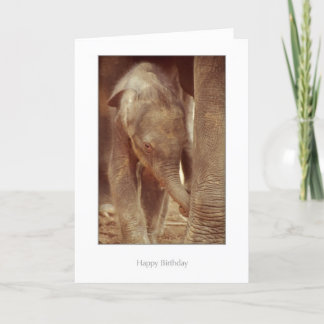 De Kaart van de Verjaardag van het Kalf van de