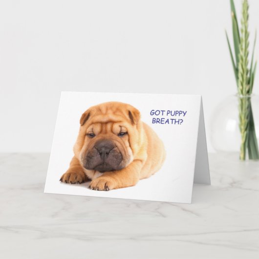 De Kaart van de Verjaardag van het Puppy van Pei (Voorkant)