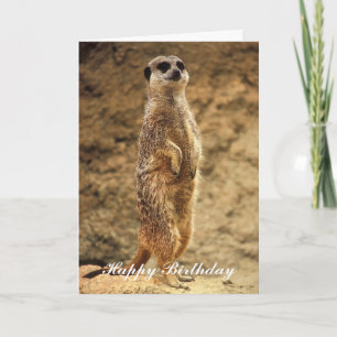 De Kaart van de Verjaardag van Meerkat