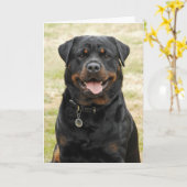 De Kaart van de Verjaardag van Rottweiler (Gele Bloem)