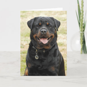De Kaart van de Verjaardag van Rottweiler