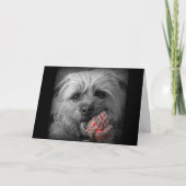 De Kaart van de Verjaardag van Terrier van de (Voorkant)