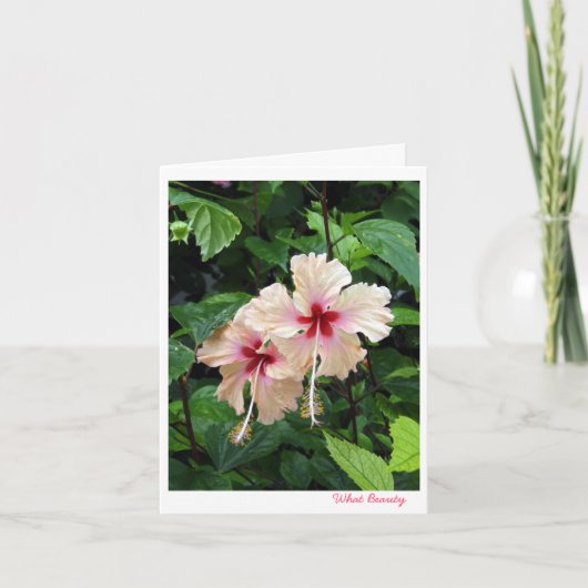 De kaart van de verjaardag Welke Schoonheid (Voorkant)