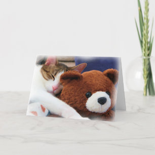 De Kaart van de Vriend van Teddy van het kat