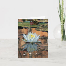 De Kaart van de Waterlelie van de Zonnestilstand