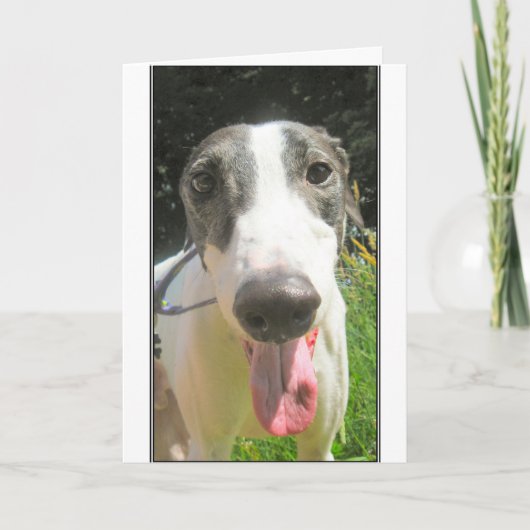 De Kaart van de windhond (Voorkant)