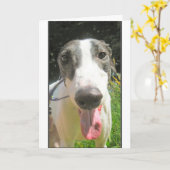 De Kaart van de windhond (Gele Bloem)