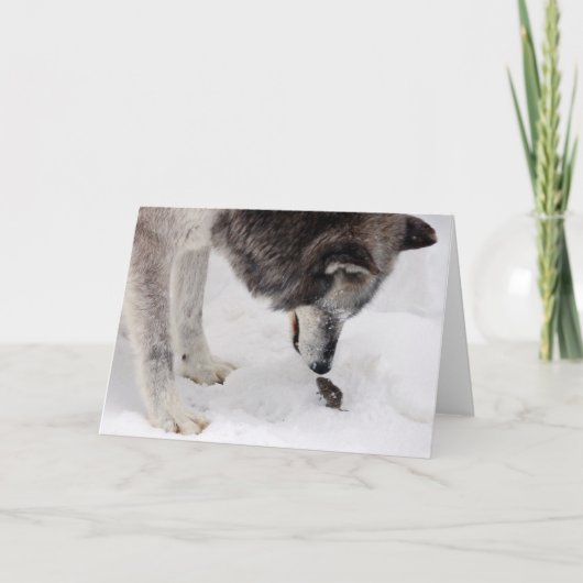 De Kaart van de wolf & van de Muis (Voorkant)