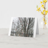 De Kaart van de zonnestilstand (Gele Bloem)