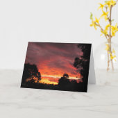 De kaart van de Zonsondergang ~ van de (Gele Bloem)