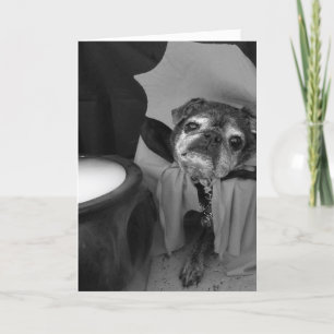De kaart van Halloween van Bumblesnot: Telling