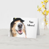 De Kaart van Halloween van de Heks van de collie (Gele Bloem)