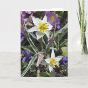 De kaart van het de tulpenMoederdag van species