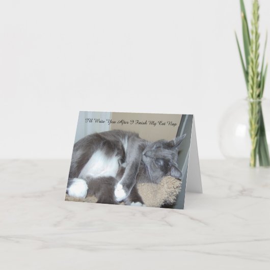 De Kaart van het Dutje van de kat (Voorkant)