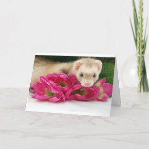 De Kaart van het fret