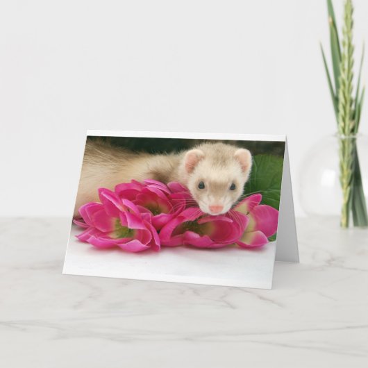 De Kaart van het fret (Voorkant)