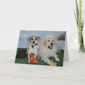 De kaart van het huwelijk, foto van 2 honden op