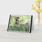 De Kaart van het Laboratorium van de chocolade (Gele Bloem)