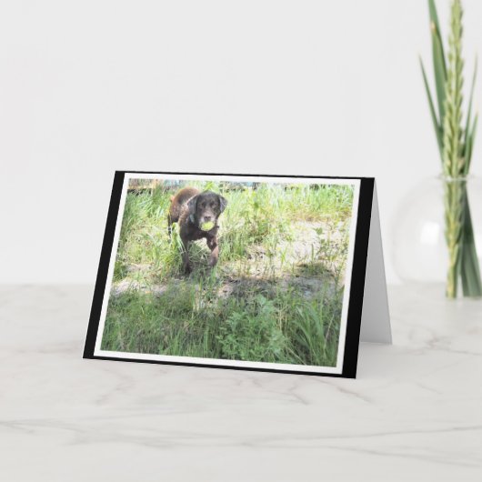 De Kaart van het Laboratorium van de chocolade (Voorkant)