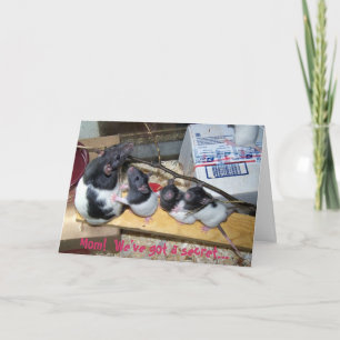 De Kaart van het moederdag