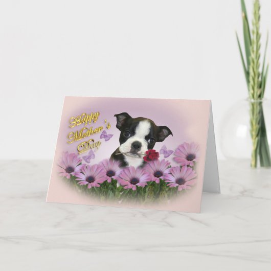 De Kaart van het Moederdag van Boston Terrier (Voorkant)