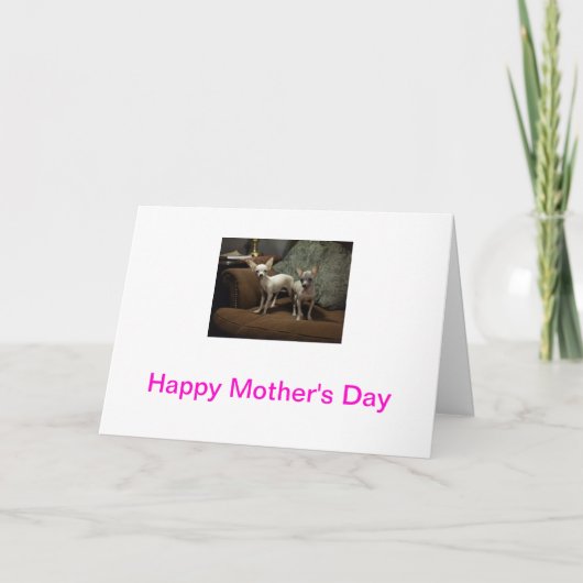 De Kaart van het Moederdag van Chihuahua (Voorkant)