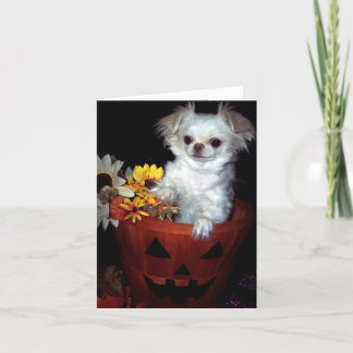 De Kaart van het Puppy van Halloween