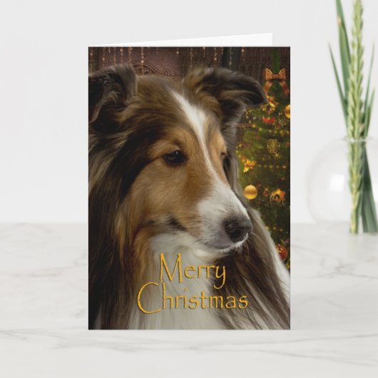 De Kaart van Kerstmis van Sheltie van de vakantie (Voorkant)