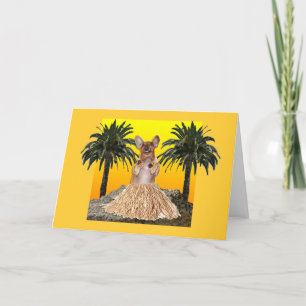 De Kaart van Leis van de verjaardag