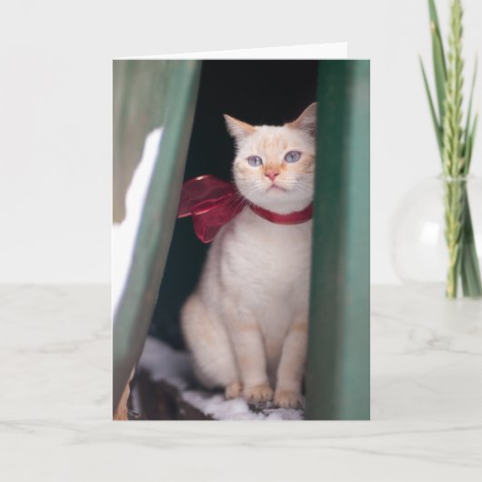 De Kaart van Lucy (Voorkant)