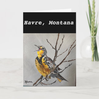 De Kaart van Meadowlark - Havre, Montana