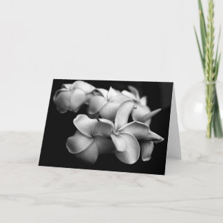 De Kaart van Plumeria
