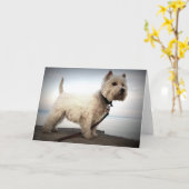 De Kaart van Terrier van het Hoogland van het (Gele Bloem)