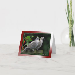 De kaart van Tortelduifjes