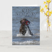 De Kaart van vaderdag - Chocolade Labrador (Gele Bloem)