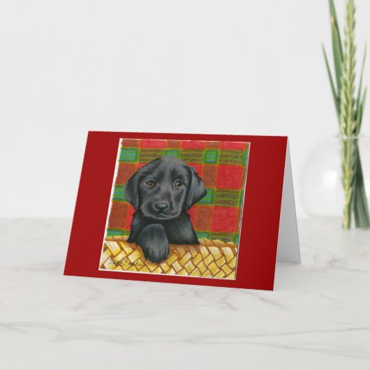 De kaart van Valentijn van de hond (Voorkant)