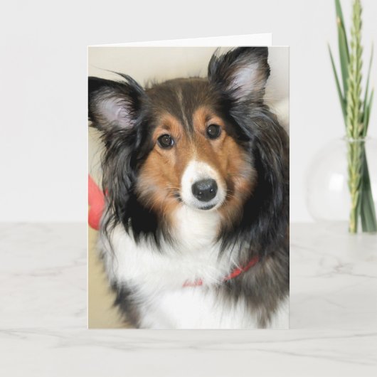 De Kaarten van de Groet/van de Nota van de (Voorkant)