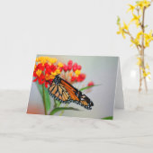 De Kaarten van de Nota van de Ontwerper van (Gele Bloem)