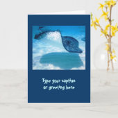 De Kaarten van de Nota van de pijlstaartrog (Gele Bloem)