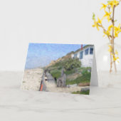 De Kaarten van de Nota "van het Strand van de (Gele Bloem)