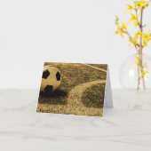 De Kaarten van de Nota van het voetbal (Gele Bloem)