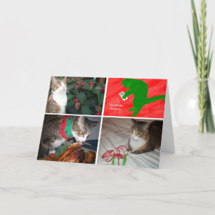 De Kaarten van EMMA MBX5