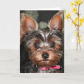 De kaarten van Yorkie (Gele Bloem)