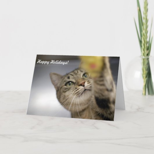 De Kaarten "Vrede, Vreugde, Hoop " van de vakantie (Voorkant)